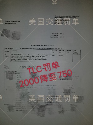 案例110